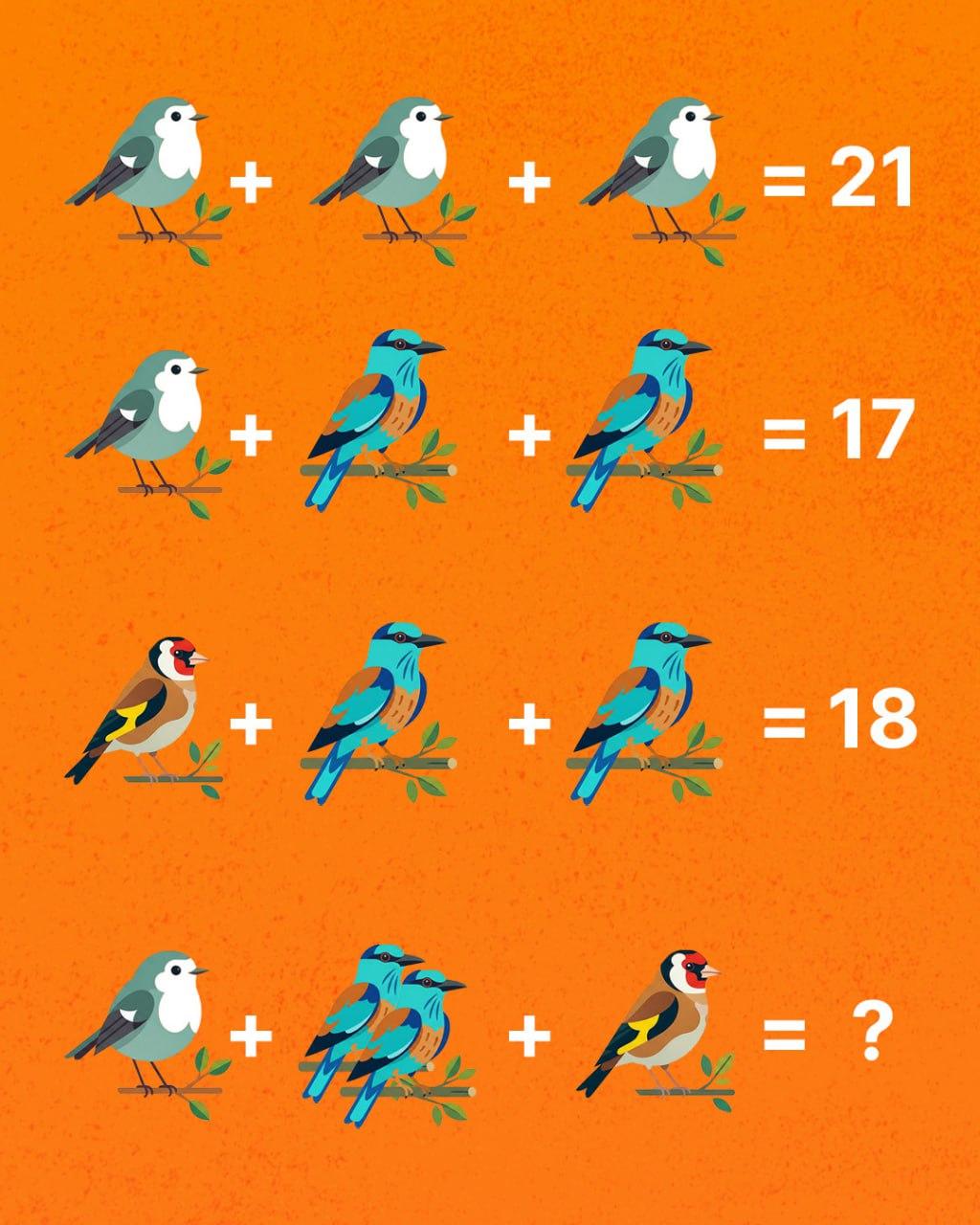 Len génius dokáže spočítať všetkých vtákov: prekvapivo náročná hádanka