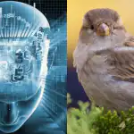 Len ľudia s fantastickým IQ nájdu vrabca za 11 sekúnd: zložitý optický klam Len ľudia s fantastickým IQ nájdu vrabca za 11 sekúnd: