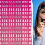 Máte vysoké IQ, ak dokážete rýchlo nájsť číslo 888 medzi