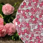 Musíte nájsť päť hviezdičiek v mori farieb za 5 sekúnd - veľmi náročná logická hra Musíte nájsť päť hviezdičiek v mori farieb za 5 sekúnd