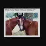 Na internete sa objavila nová hádanka: túto ilúziu môžu vyriešiť