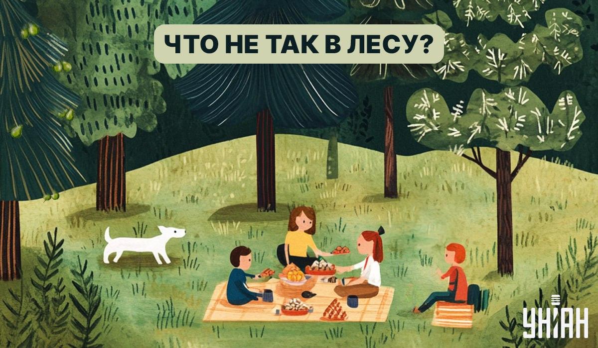 Nájdi chrobáka v lese za 5 sekúnd: rýchly IQ test Nájdi chybu v lese za 5 sekúnd: rýchly test na overenie IQ