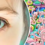 Nájdite dievča medzi plameniakmi za 8 sekúnd: z tejto hádanky