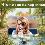 Nájdite hrubú chybu na obrázku za 5 sekúnd: rýchly IQ