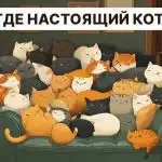 Nájdite skutočnú mačku za 5 sekúnd: veľmi jednoduchý IQ test