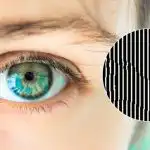 Nájdite zviera na tejto optickej ilúzii: nie každému sa to