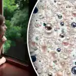 Optická ilúzia pre najpozornejších: skrytý diamant nájdu len géniovia