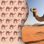 Podivnú ťavu nájdu len novodobí Sherlockovia Holmesovia: záhada pre najbystrejších