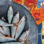 Potreba nájsť ryby medzi mačkami: zábavná hádanka pre ľudí s