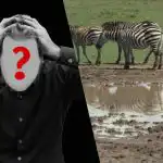 Rýchly IQ test: nájdite psa v poli za 6 sekúnd