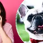 Super sofistikovaná optická ilúzia: iba skutočný detektív dokáže nájsť psa