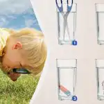 V ktorom pohári je viac vody: prekvapivo náročná logická hádanka