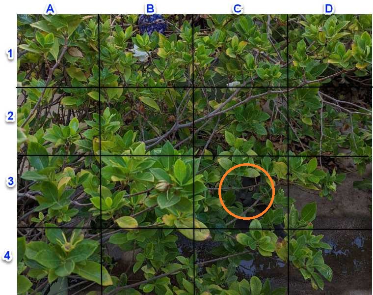 Riešenie - mačka zvýraznená v pravom dolnom rohu