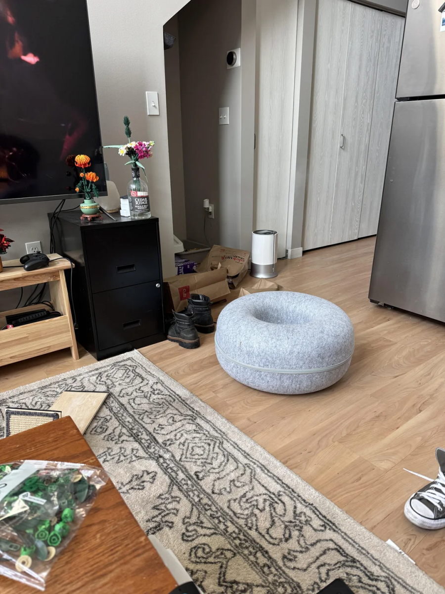 Vidíte na fotografii ryšavú mačku? 