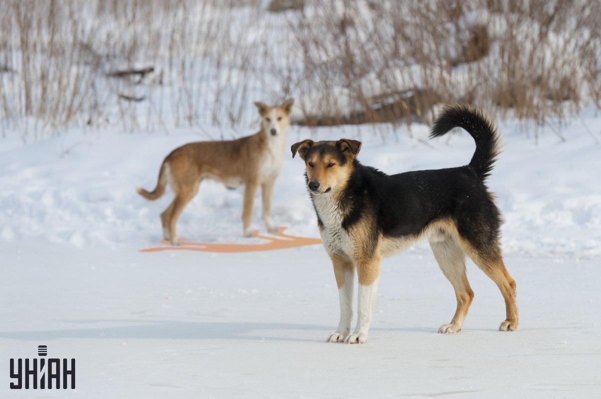Jeden z tieňov je na obrázku nesprávne zobrazený / koláž s fotografiou Moje