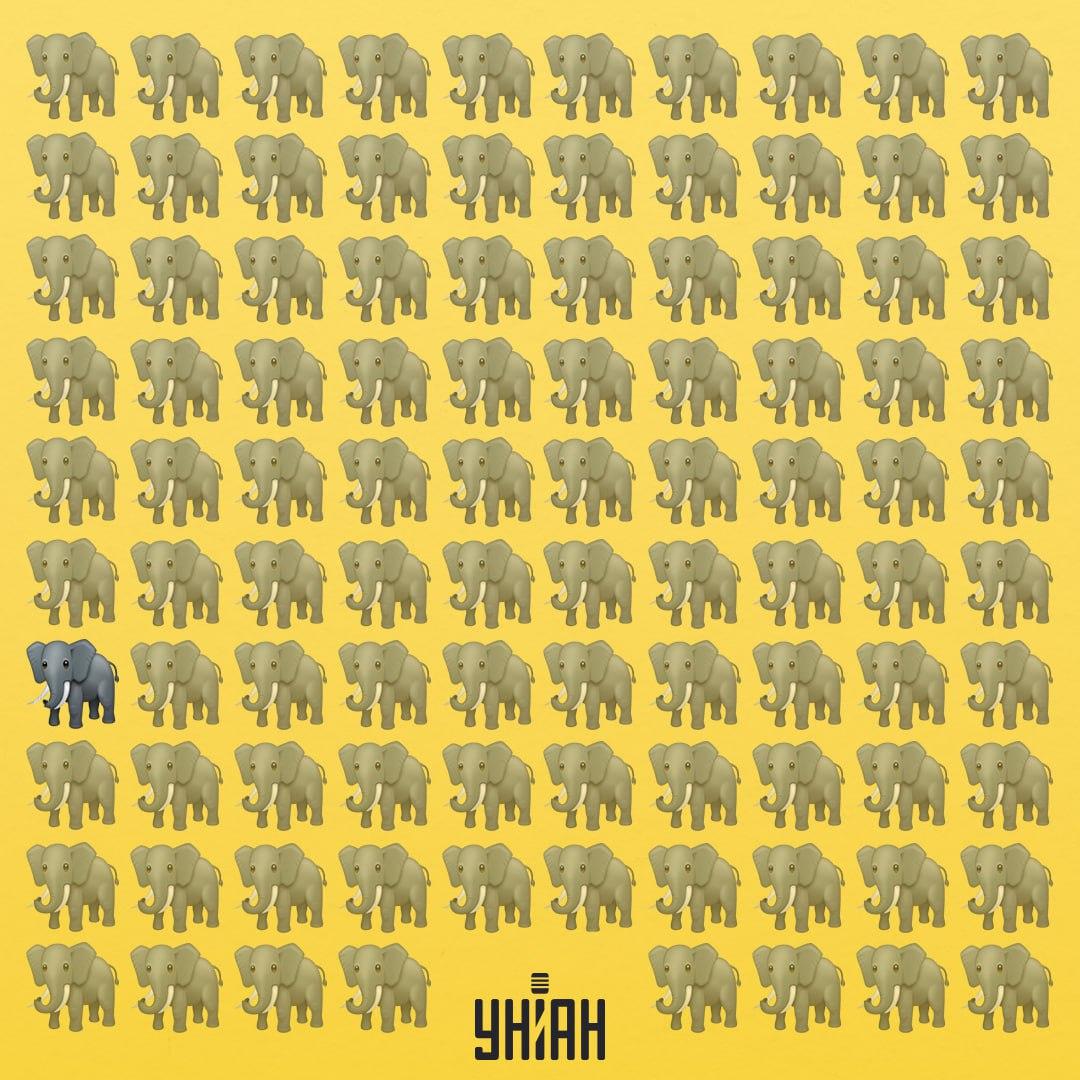 Jeden zo slonov má iný chobot ako ostatní / koláž Moje Jeden zo slonov má iný chobot ako ostatní / koláž Moje