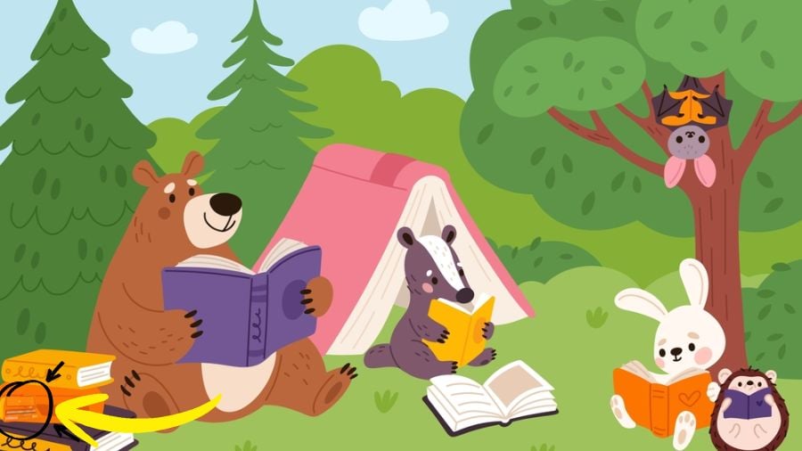 Detská hádanka je mätúca: iba 1 % ľudí nájde puzdro na ceruzky za 7 sekúnd