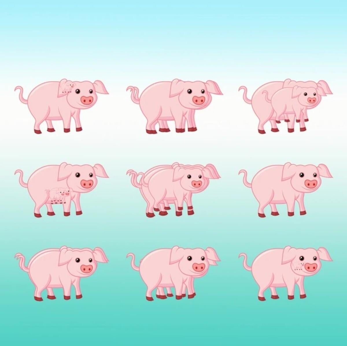 Ak dokážete rýchlo vyriešiť hádanku, máte vysoké IQ / Bright Side drawing Ak hádanku dokončíte rýchlo, máte vysoké IQ / Bright Side drawing