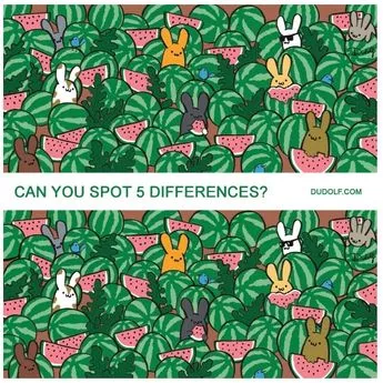 Koľko rozdielov je medzi obrázkami? Koľko rozdielov je medzi obrázkami?