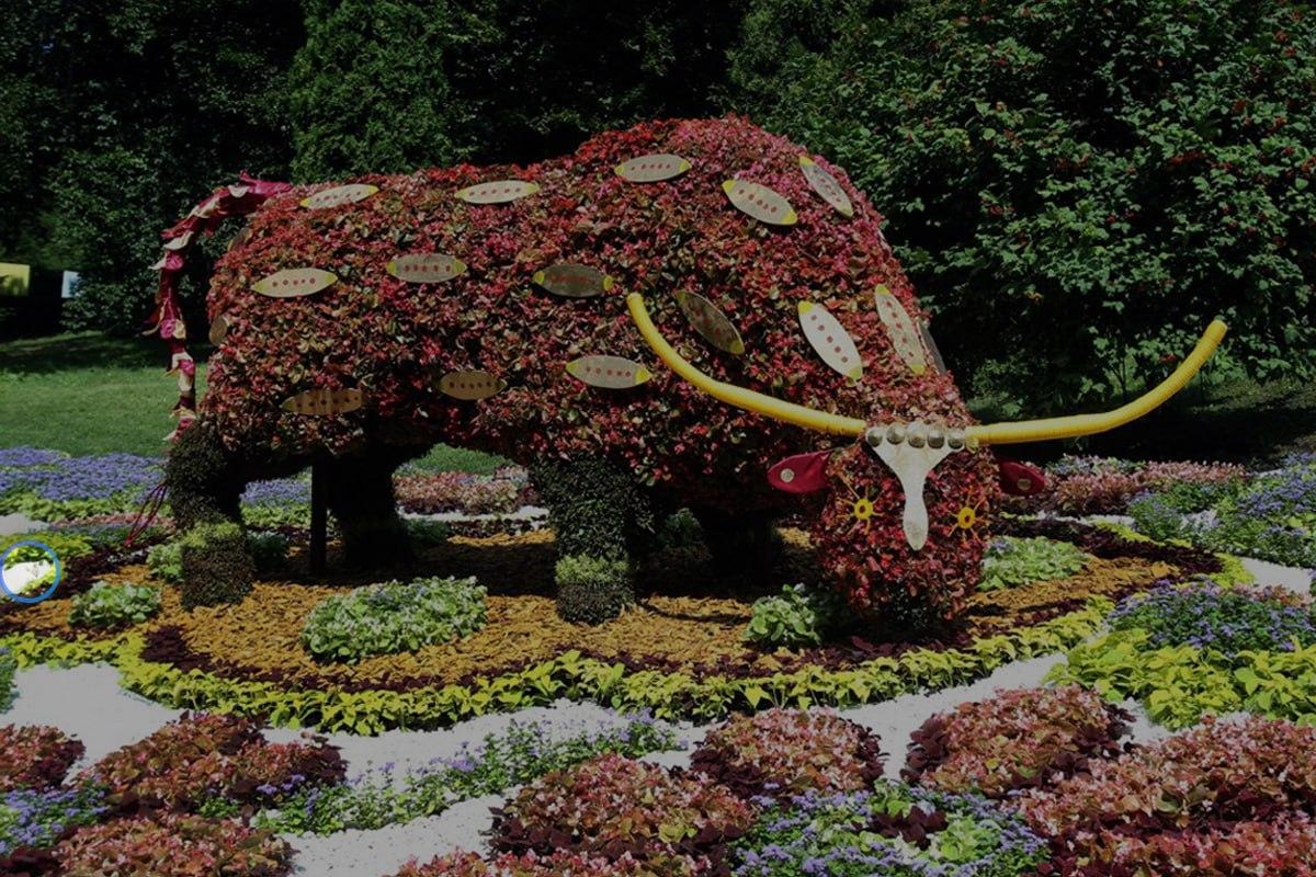 Foto Moje s riešením