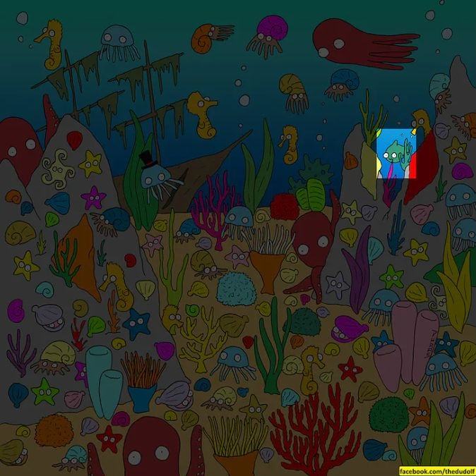 Zaujímavá hádanka pre najpozornejších: zelenú rybku musíte nájsť za 11 sekúnd.