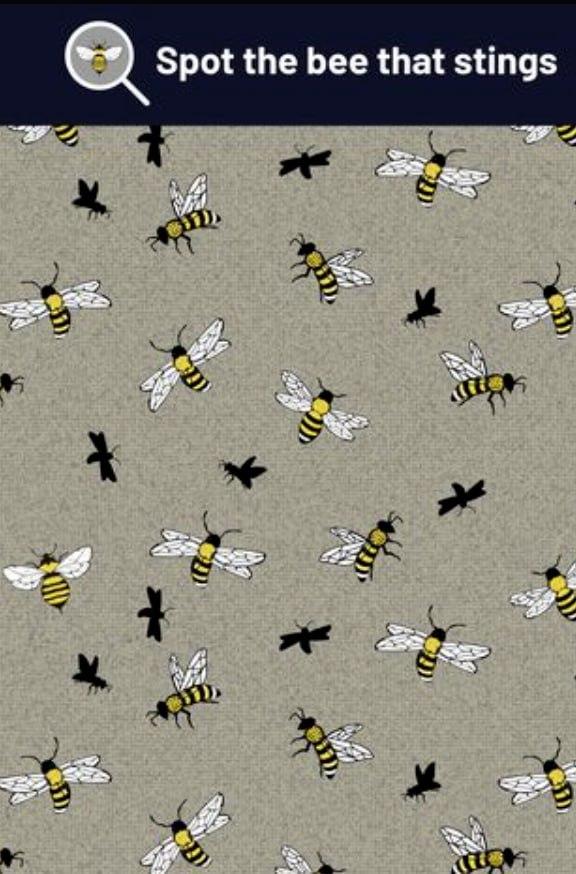 Puzzle / Make My Blinds