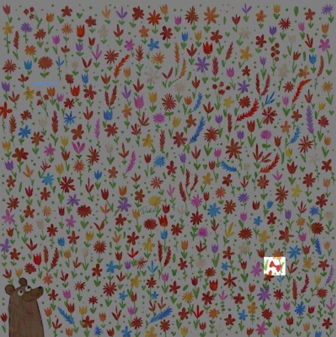 Medveď, puzzle Medveď, hádanka