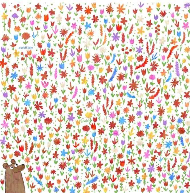 Medveď, puzzle Medveď, hádanka