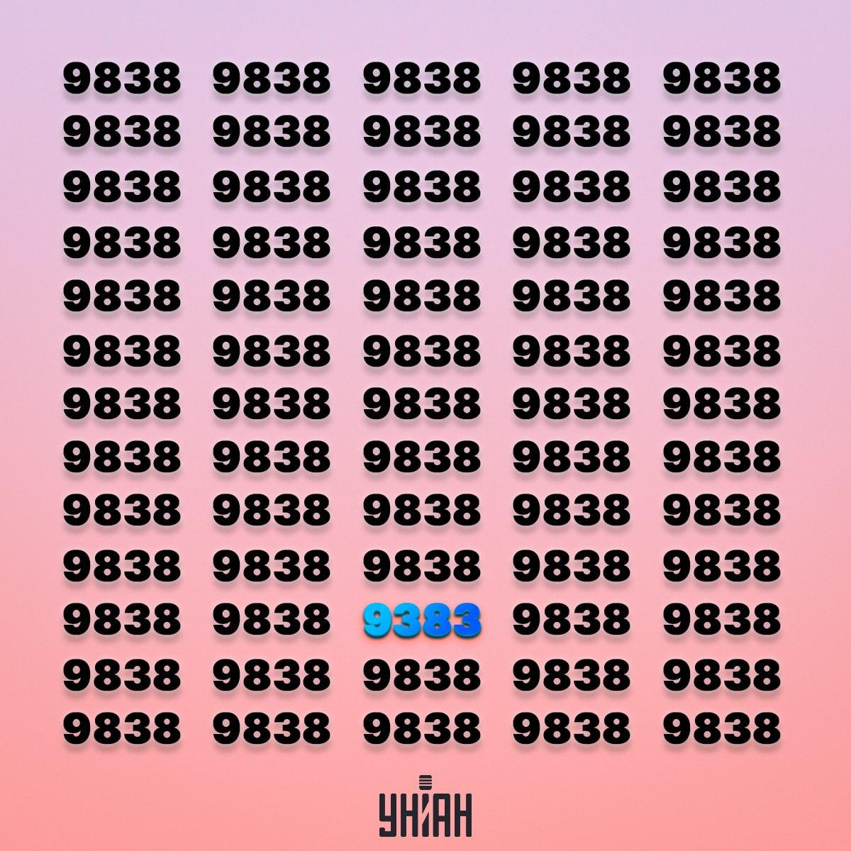 Moje foto Fotografia Moje