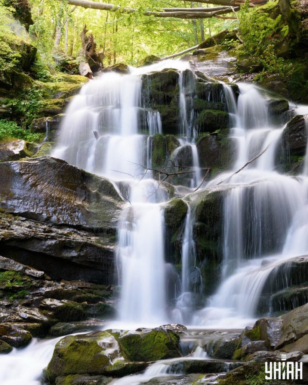 Musíme nájsť veveričku na záludnej hádanke / koláž Moje Hľadanie veveričky na zložitej skladačke / koláž Moje