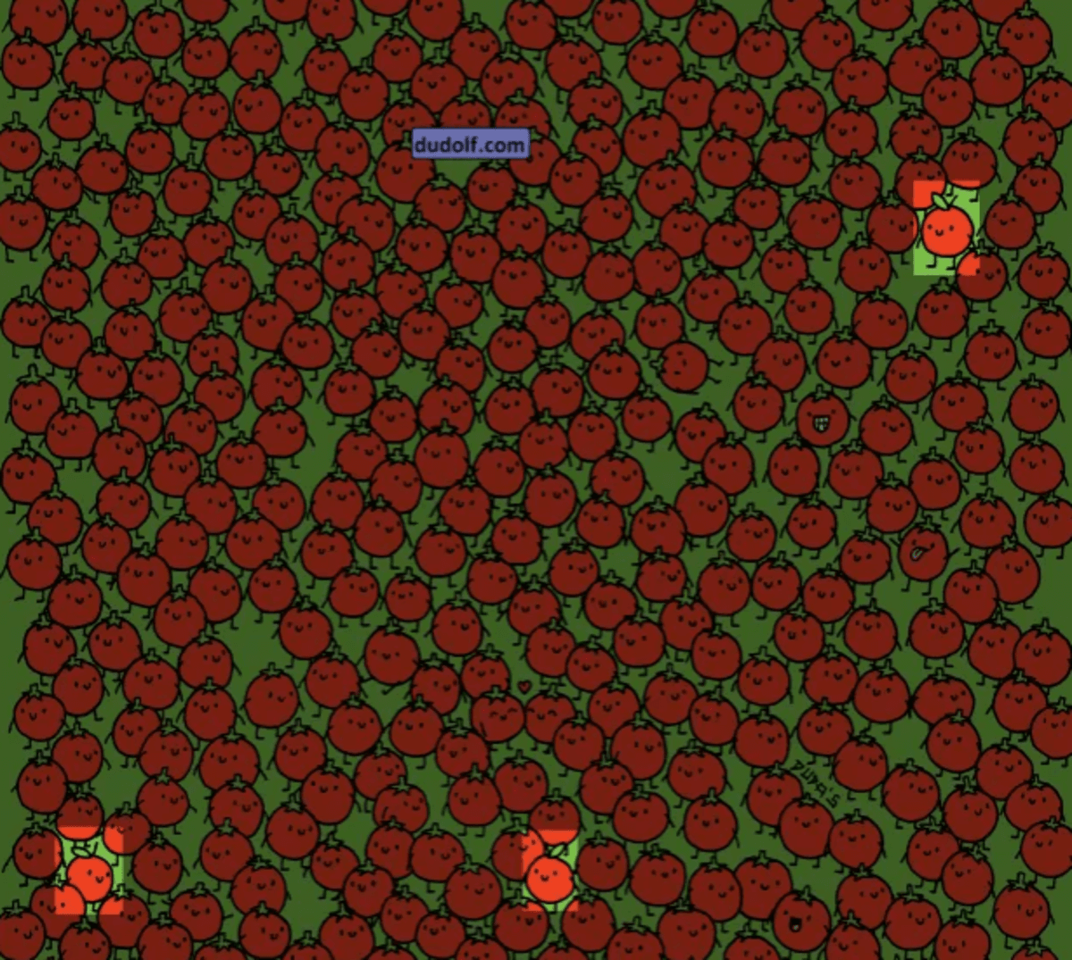 Správna odpoveď na hádanku / foto thedudolf.blogspot.com