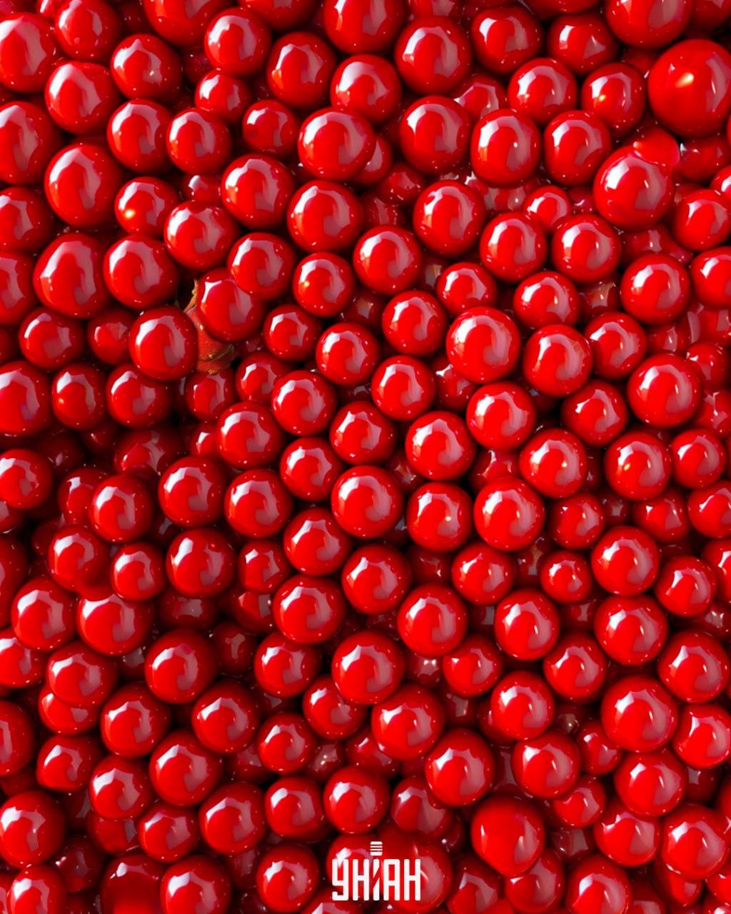 Medzi červenými korálkami sú bobule Kaliny a treba ich rýchlo nájsť / koláž Moje Medzi červenými korálkami sú bobule Kaliny, ktoré treba rýchlo nájsť / koláž Moje