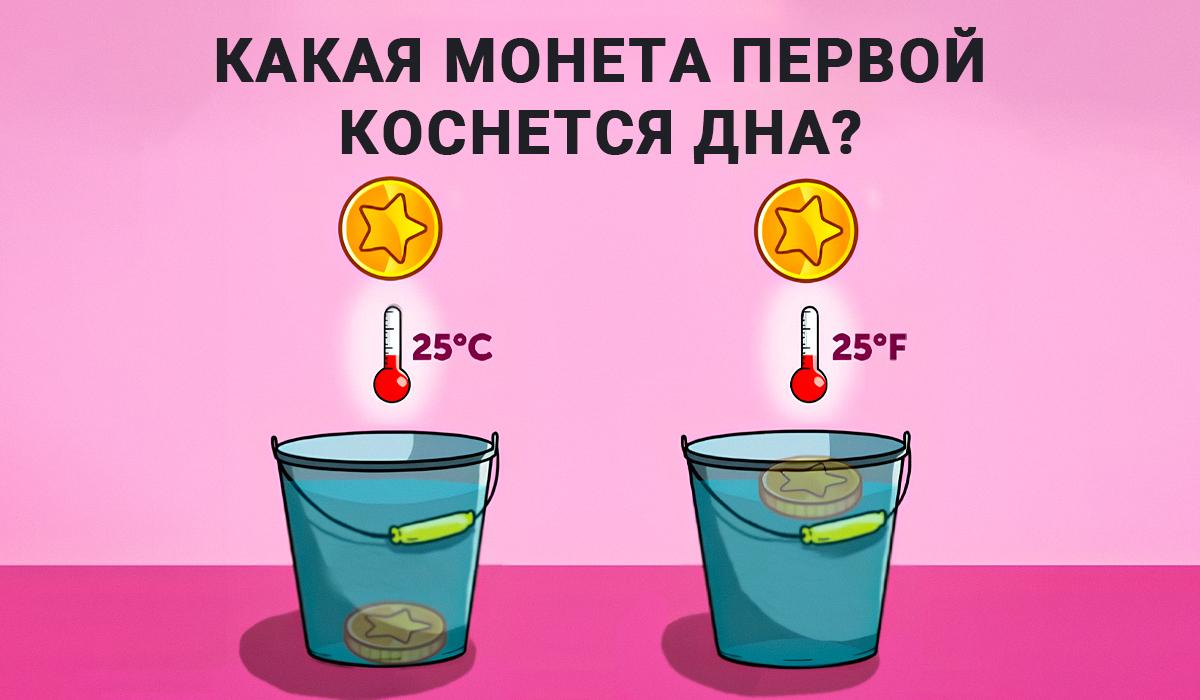 Odpoveď na IQ-test / koláž Moje Odpoveď na IQ-test / koláž Moje