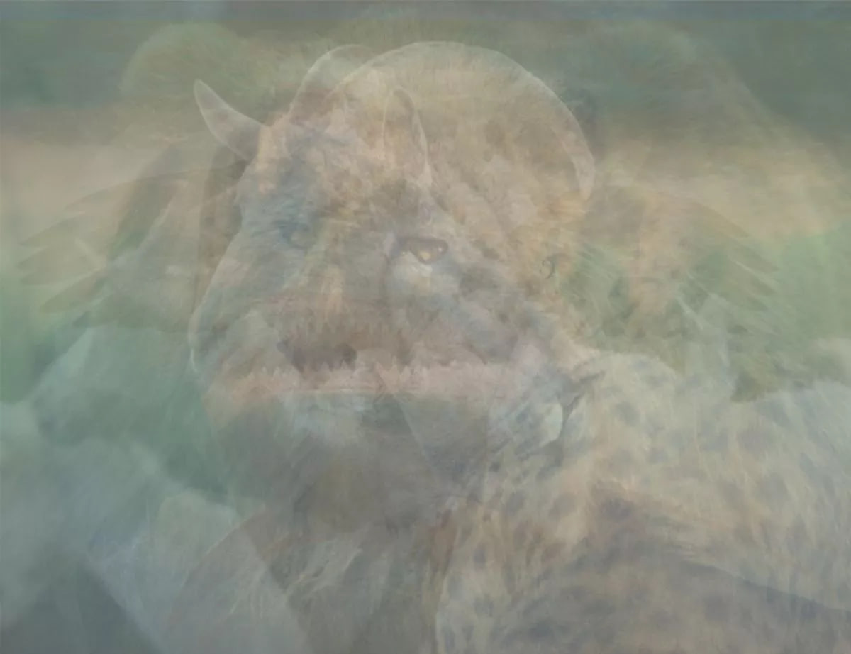 Puzzle, futbalista Hádanka, futbalista