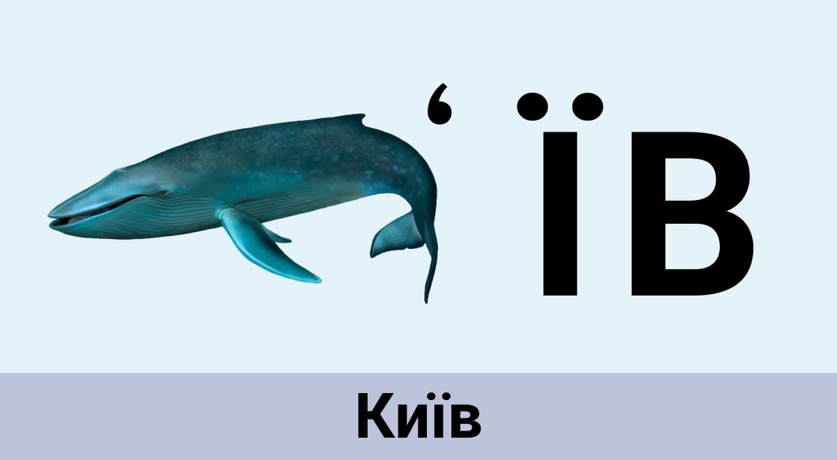 Rebus riešenie Rebus riešenie