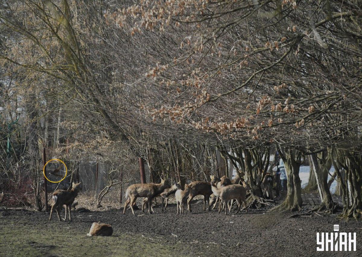 Foto Moje Fotografia Moje s riešením