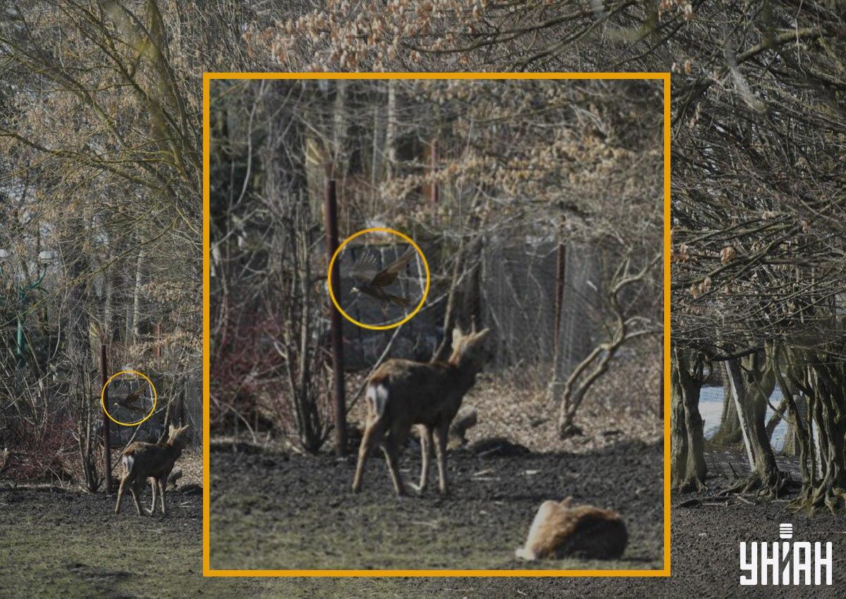 Foto Moje Foto Moje s detailom