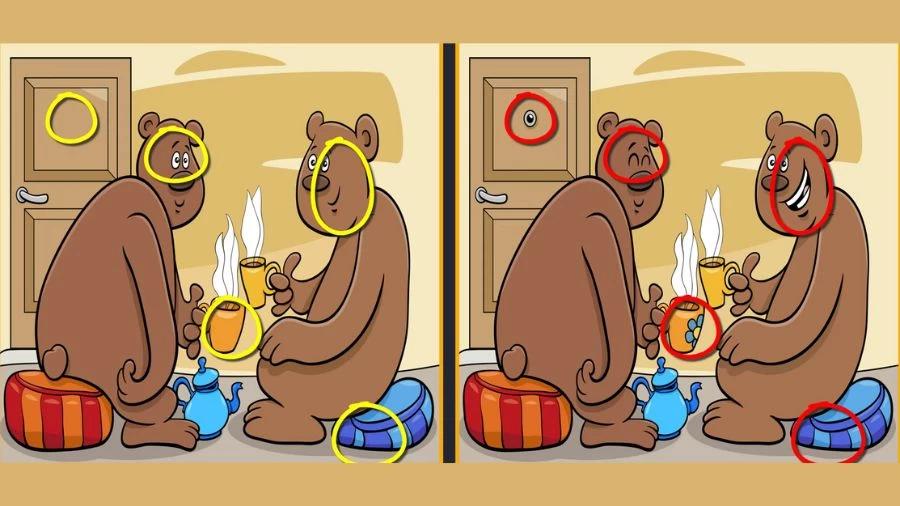 Riešenie / Fresherslive