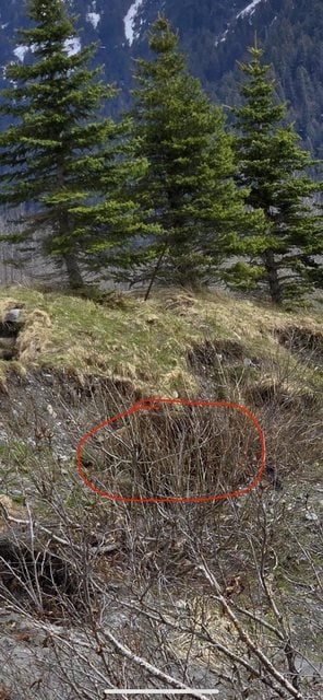 Správna odpoveď na hádanku Správna odpoveď na hádanku