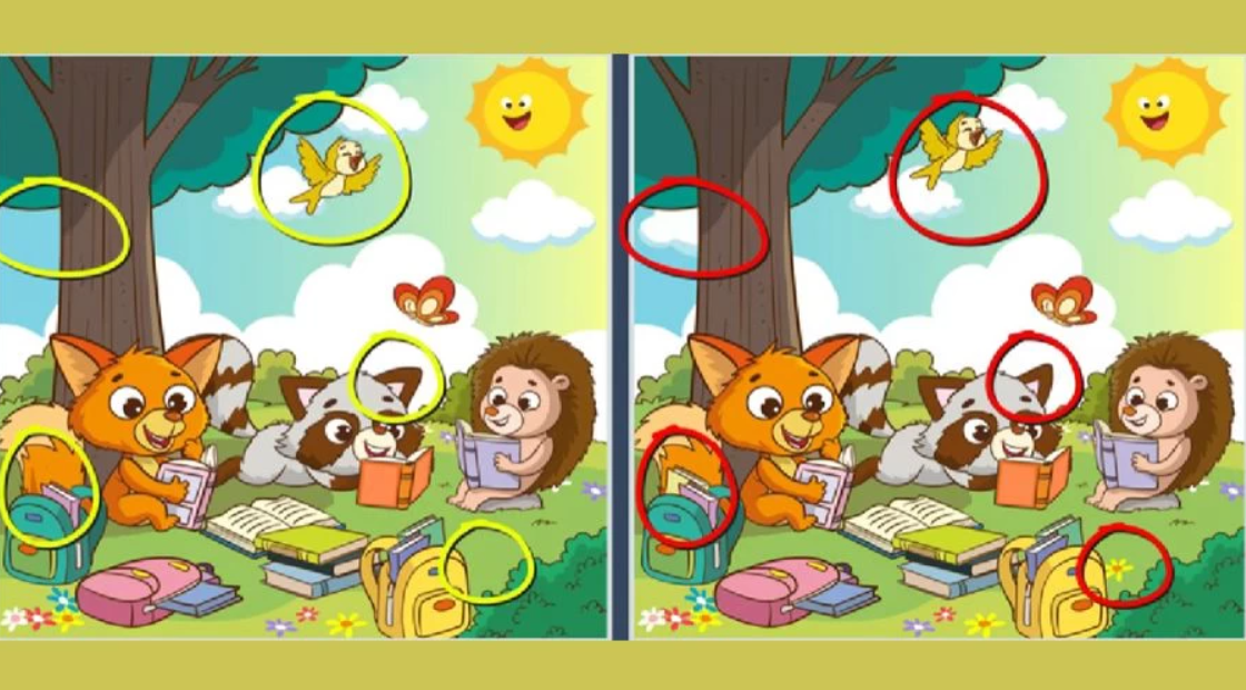 Fresherslive foto Fotografia Fresherslive