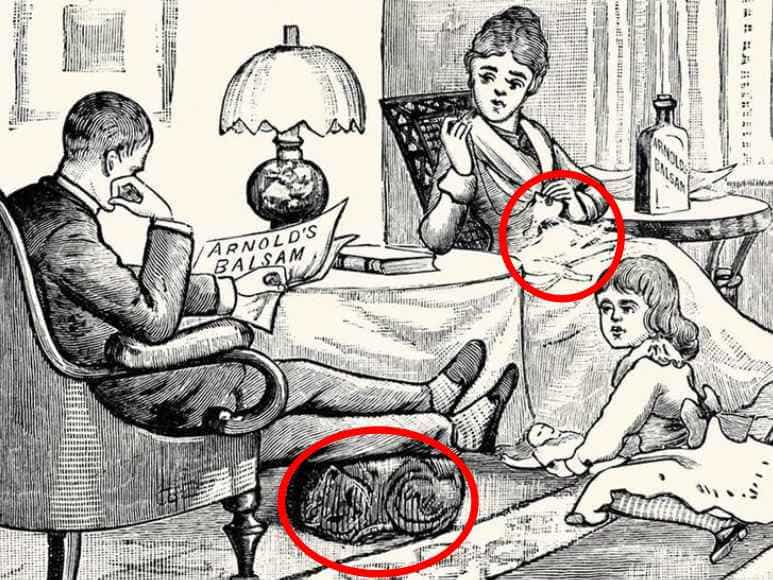 Optická ilúzia pre najpozornejších: musíte nájsť dve mačky za 7 sekúnd Optická ilúzia pre najpozornejších: musíte nájsť dve mačky za 7 sekúnd