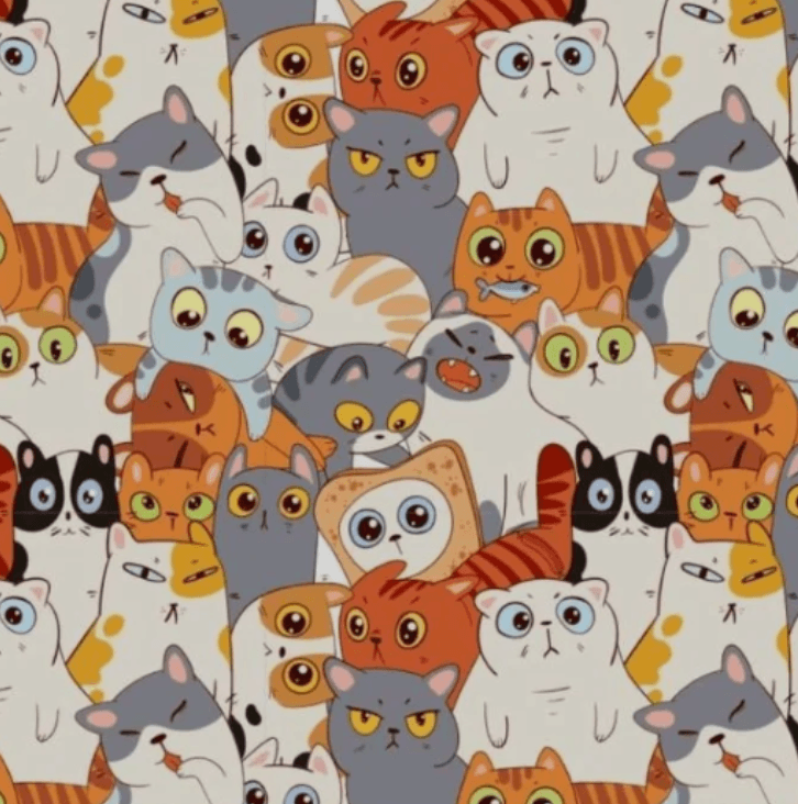 Svetlá stránka fotografie