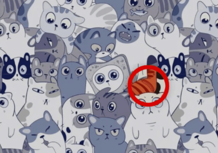 Fotografia Bright Side