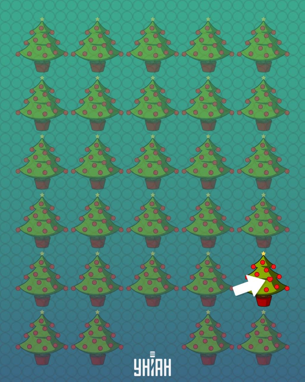 Odpoveď / Moje foto