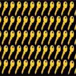 Hádanka pre tých, ktorí majú výborný zrak: kľúč musíte nájsť do 11 sekúnd. Hádanka pre tých, ktorí majú výborný zrak: kľúč musíte nájsť