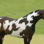 Iba 1 z 9 ľudí dokáže za 10 sekúnd rozpoznať