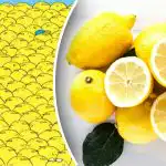 Iba génius dokáže nájsť 5 citrónov na obrázku: neobyčajná hádanka pozornosti Iba génius dokáže nájsť 5 citrónov na obrázku: neobyčajná hádanka