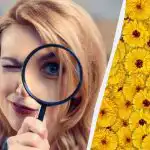 Len 1 z 10 ľudí nájde na obrázku jeleňa za