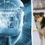 Len 2 % veľmi inteligentných ľudí vám za 8 sekúnd