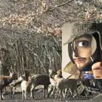 Len "silák" so značným IQ nájde vranu za 8 sekúnd: veľmi ťažká hádanka Len "silák" so značným IQ nájde vranu za 8 sekúnd: